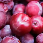 Red Plum